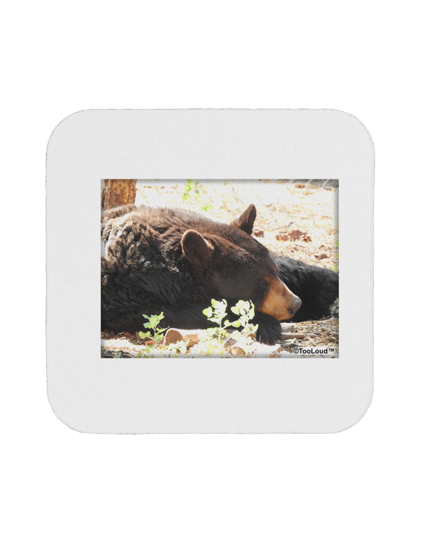 Laying Black Bear Coaster-Coasters-TooLoud-1-Davson Sales