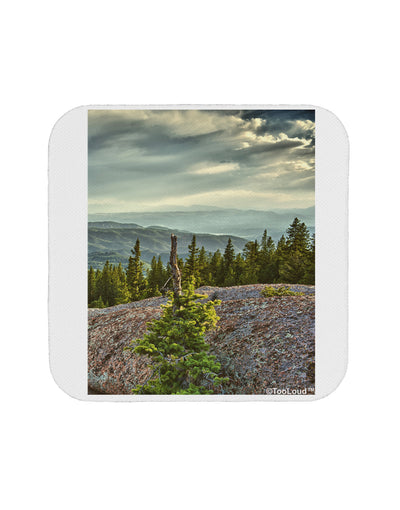 Nature Photography - Pine Kingdom Coaster by TooLoud-TooLoud-1-Davson Sales