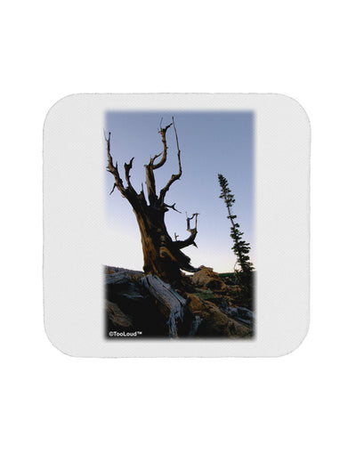 Colorado Mountain Scenery Coaster by TooLoud-Coasters-TooLoud-1-Davson Sales