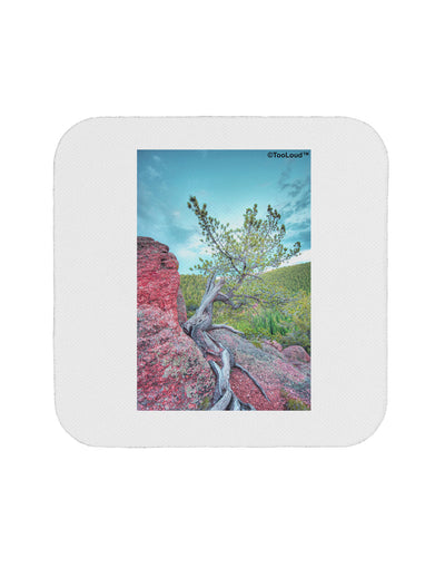 CO Cliffside Tree Coaster-Coasters-TooLoud-1-Davson Sales