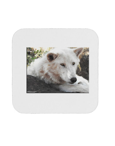 Laying White Wolf Coaster-Coasters-TooLoud-1-Davson Sales