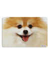 Adorable Pomeranian 1 Placemat All Over Print Set of 4 Placemats