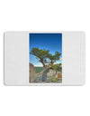 Colorado Landscape Tree Placemat Set of 4 Placemats-Placemat-TooLoud-White-Davson Sales