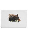 Laying Black Bear Cutout Placemat Set of 4 Placemats-Placemat-TooLoud-White-Davson Sales