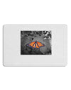 Monarch Butterfly Photo Placemat Set of 4 Placemats-Placemat-TooLoud-White-Davson Sales