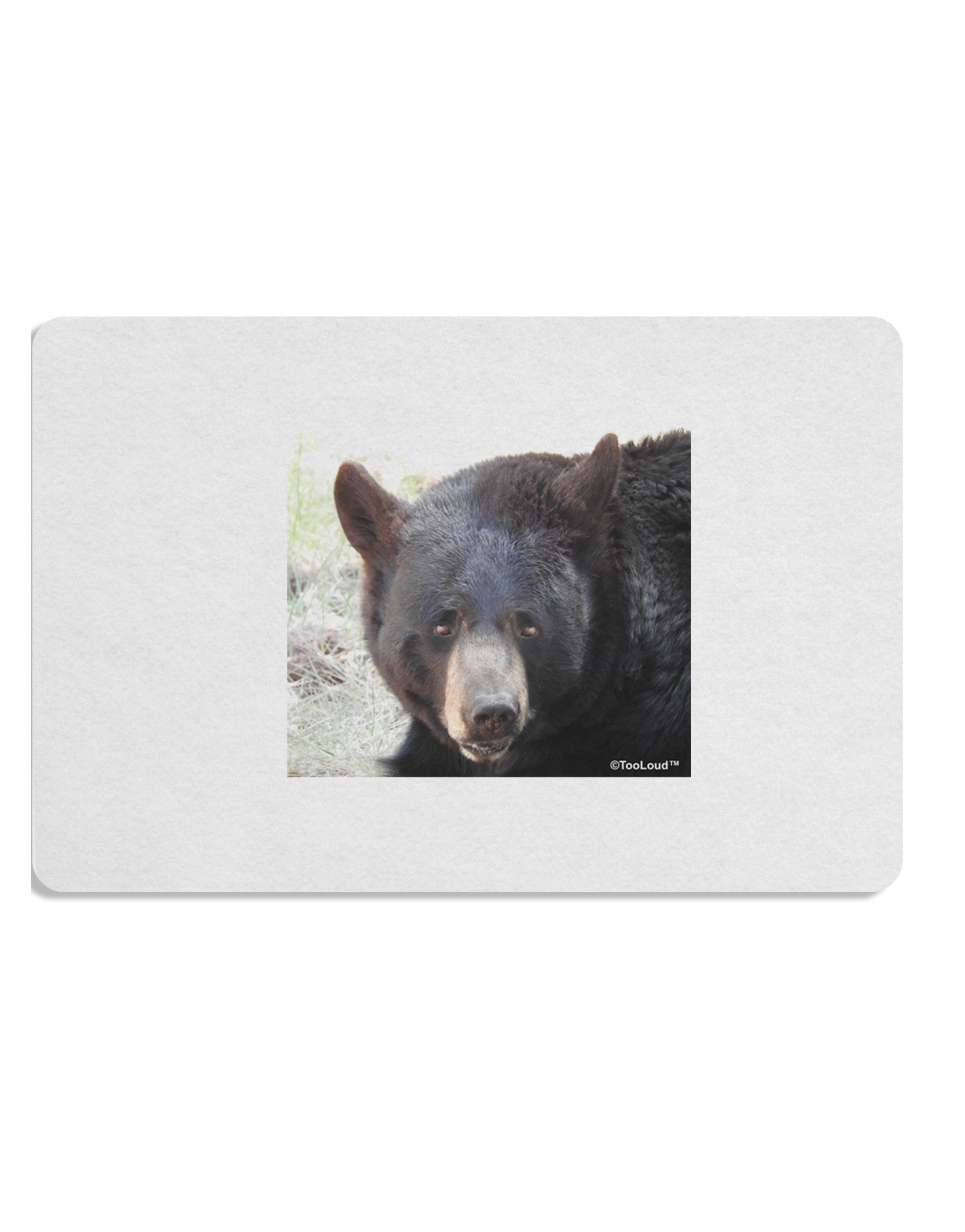 Staring Black Bear Placemat Set of 4 Placemats-Placemat-TooLoud-White-Davson Sales