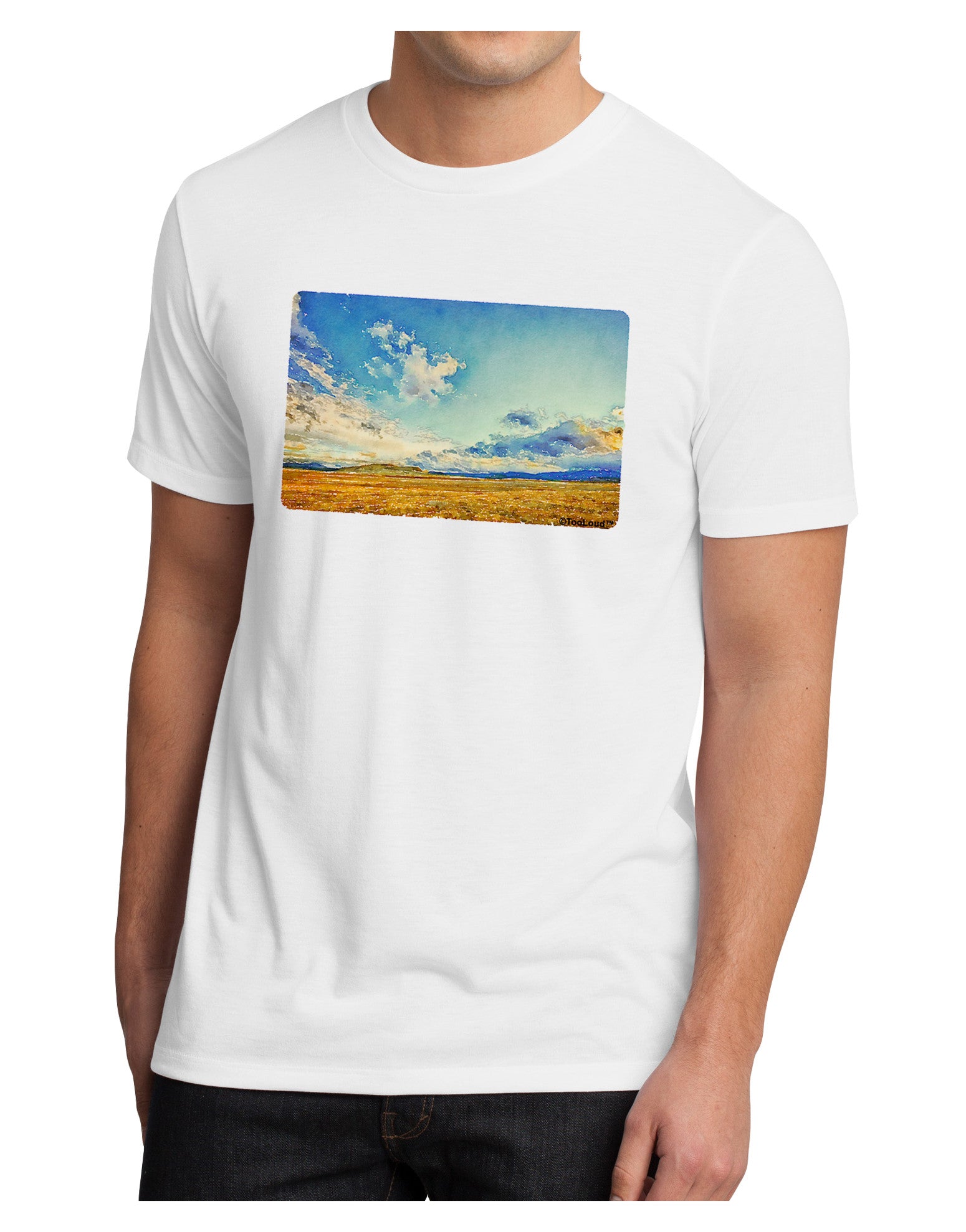 Garden of the Gods Watercolor Men's Sublimate Tee-TooLoud-White-Small-Davson Sales