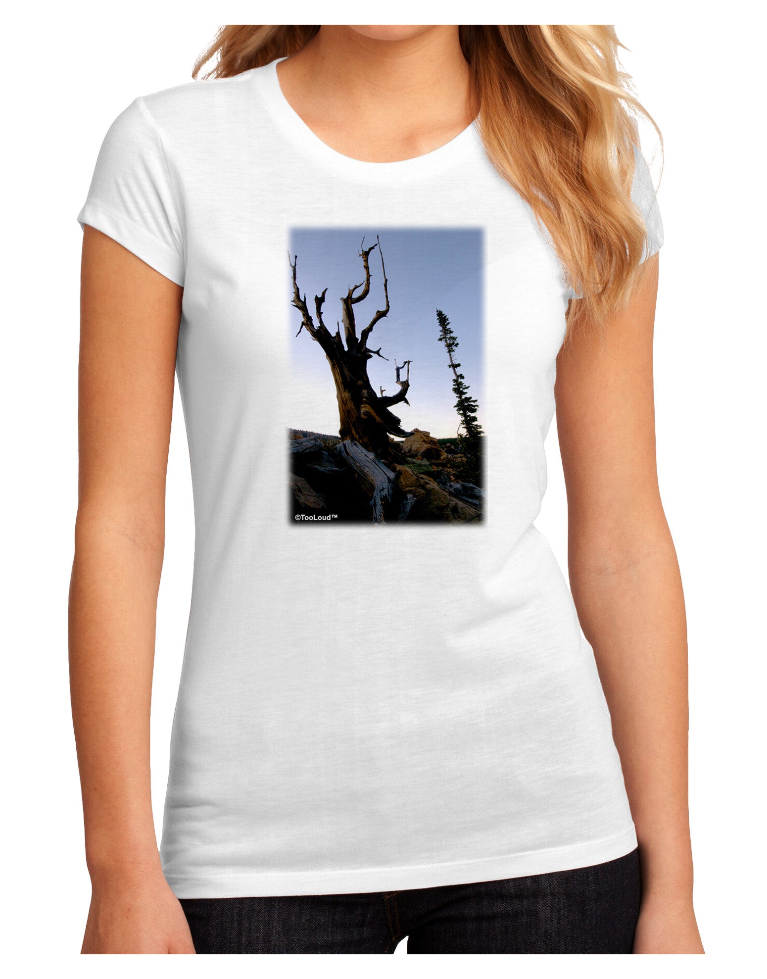 Colorado Mountain Scenery Juniors Petite Sublimate Tee-TooLoud-White-Small-Davson Sales