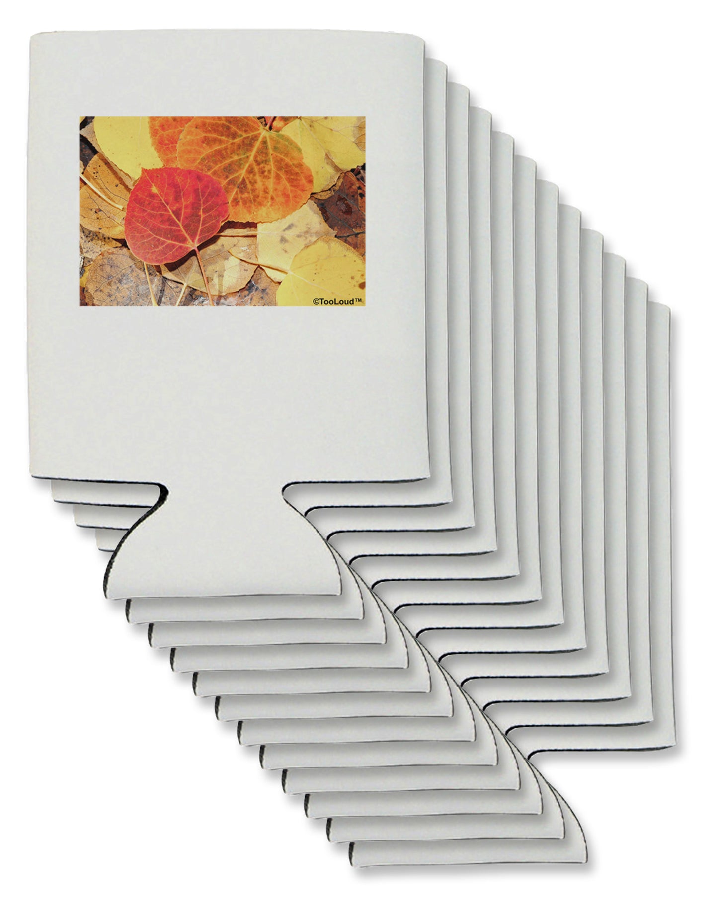 Colorado - Autumn Can / Bottle Insulator Coolers-Can Coolie-TooLoud-12-Davson Sales