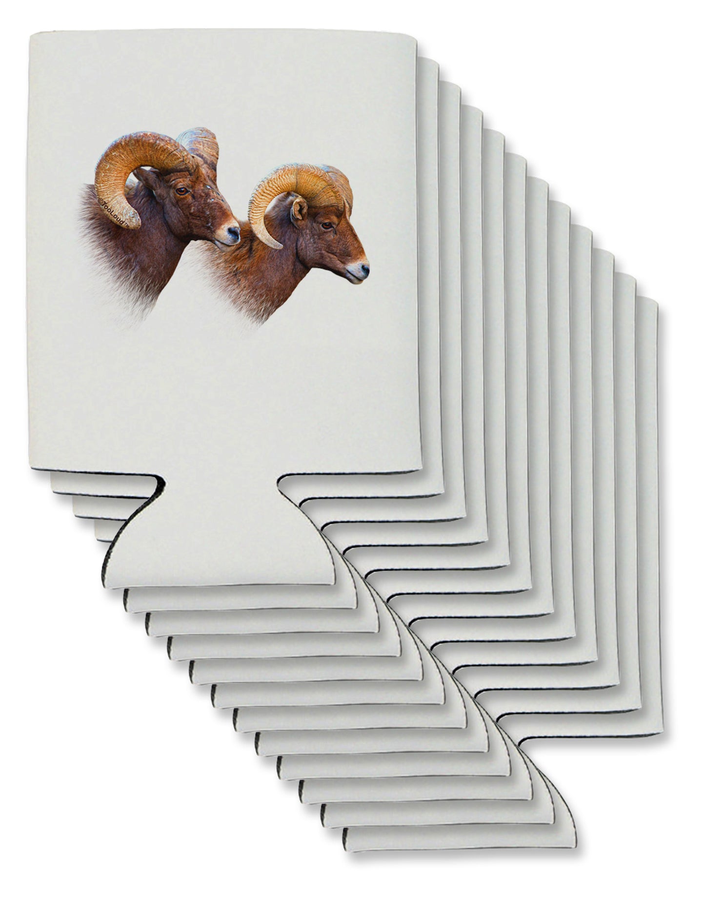 TooLoud Two Majestic Bighorn Rams Can / Bottle Insulator Coolers-Can Coolie-TooLoud-12-Davson Sales
