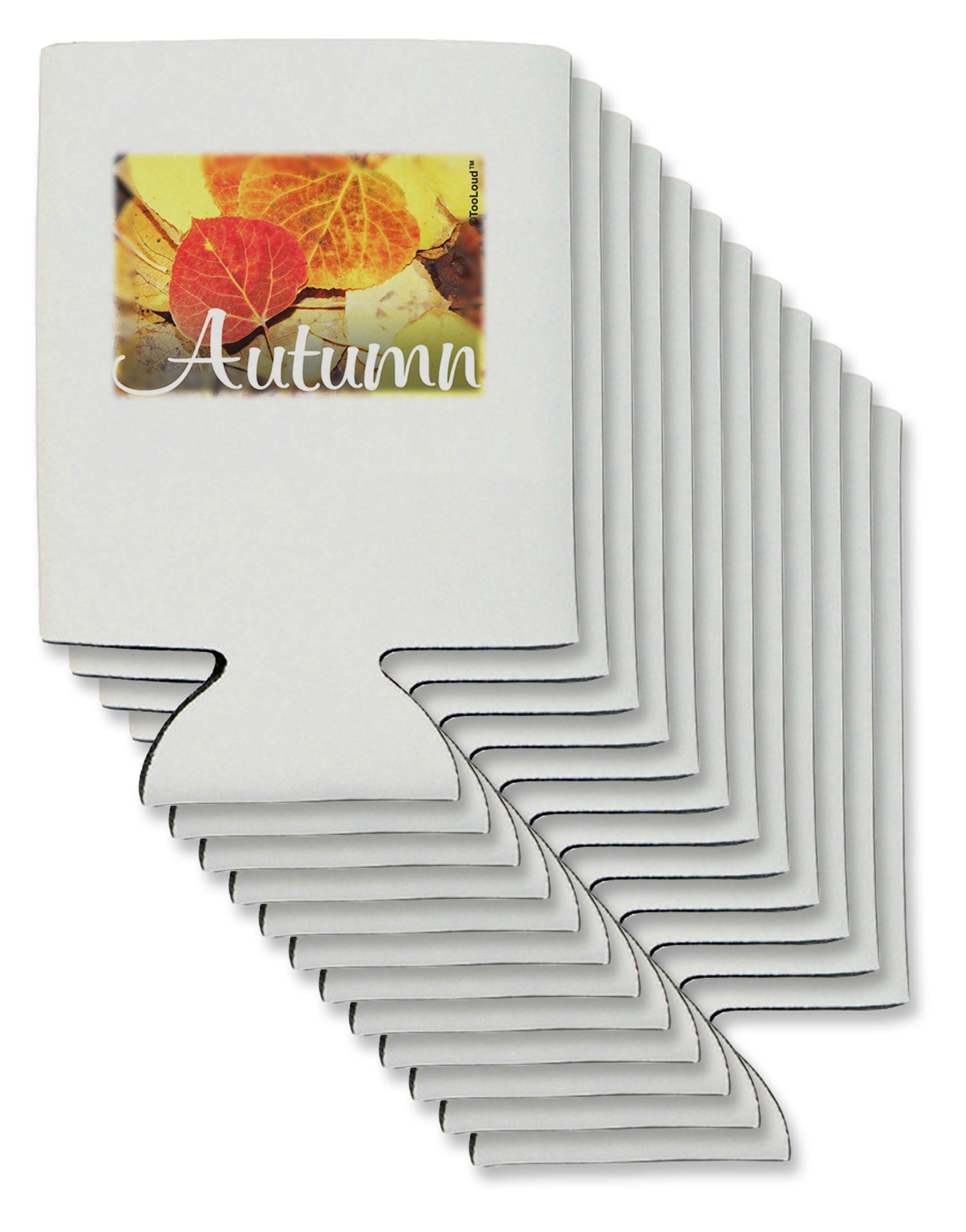 Colorado - Autumn Text Can / Bottle Insulator Coolers-Can Coolie-TooLoud-12-Davson Sales