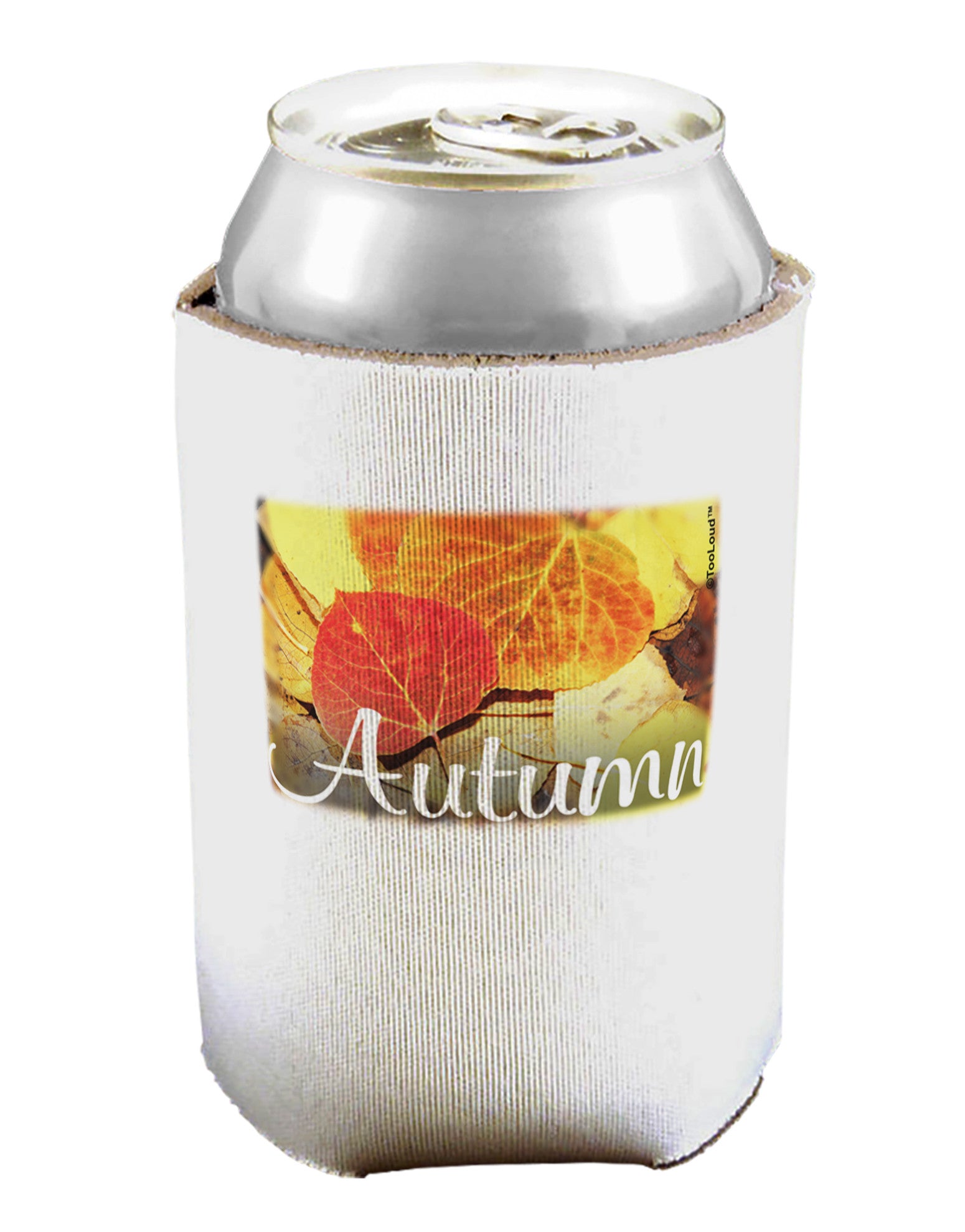 Colorado - Autumn Text Can / Bottle Insulator Coolers-Can Coolie-TooLoud-1-Davson Sales