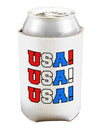 USA! USA! USA! Can and Bottle Insulator Cooler-Bottle Insulator-TooLoud-White-Davson Sales