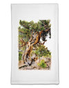 Bristlecone Pines Flour Sack Dish Towels-Flour Sack Dish Towel-TooLoud-White-Davson Sales