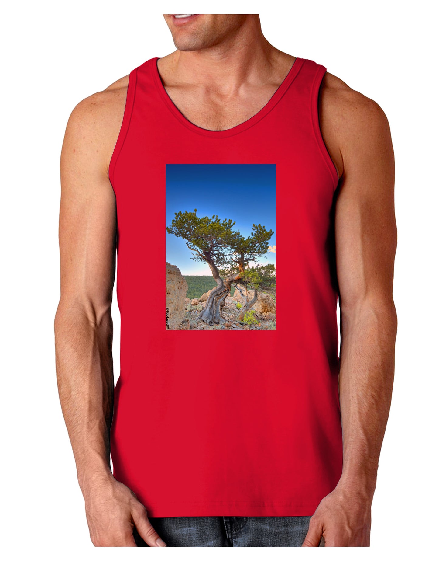 Colorado Landscape Tree Dark Loose Tank Top-Mens Loose Tank Top-TooLoud-Red-Small-Davson Sales