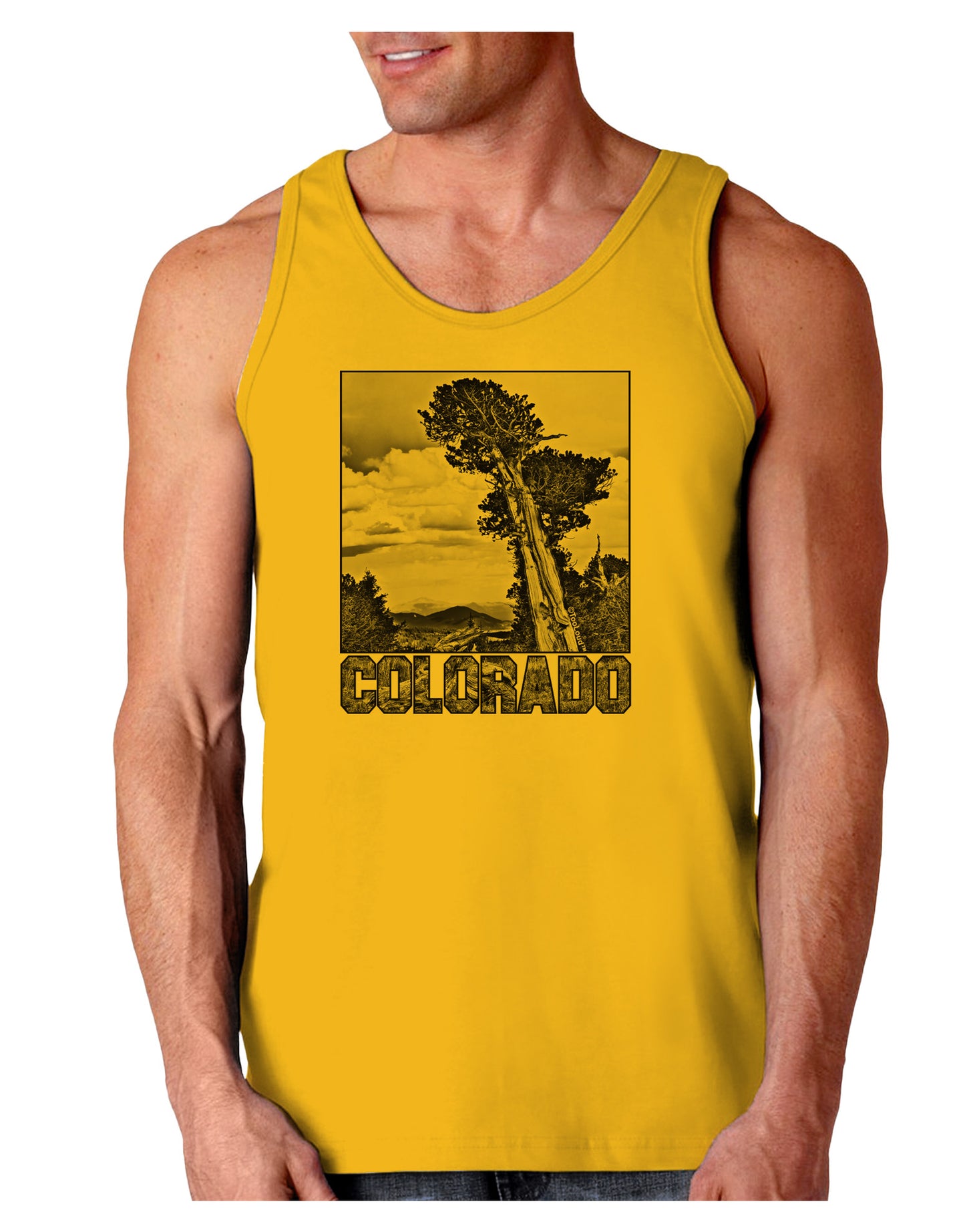Colorado Landscape Text BW Loose Tank Top-Loose Tank Top-TooLoud-Gold-Small-Davson Sales