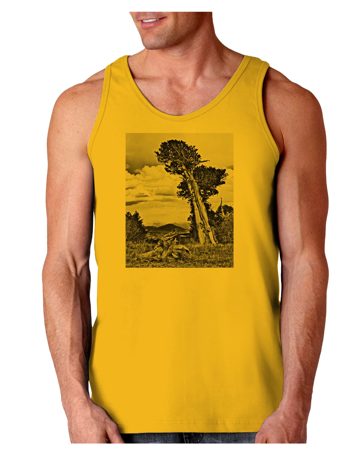 Colorado Landscape Monochrome Loose Tank Top-Loose Tank Top-TooLoud-Gold-Small-Davson Sales