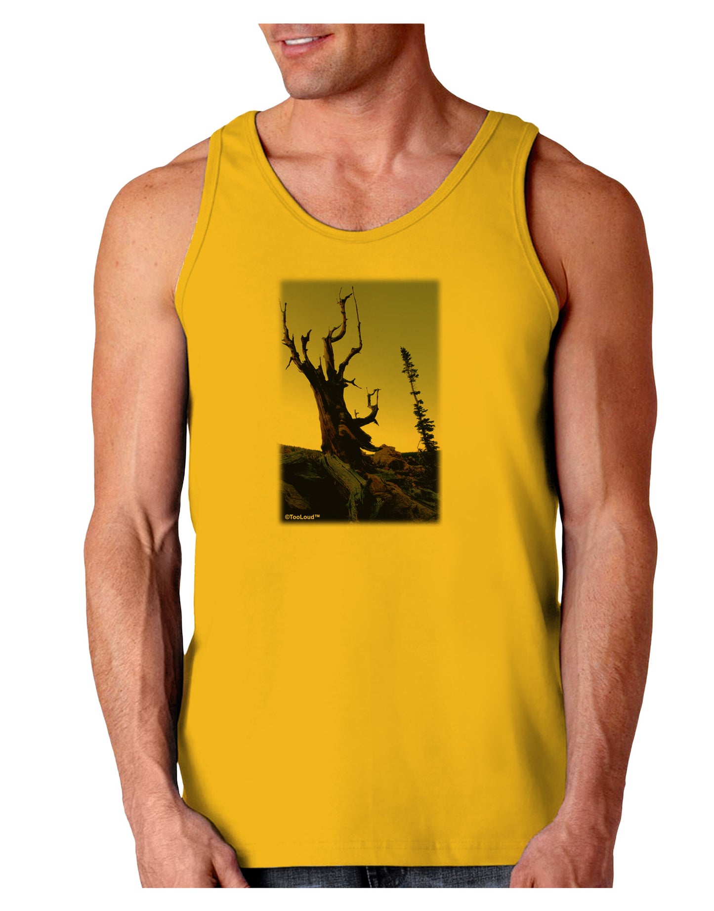 Colorado Mountain Scenery Loose Tank Top-Loose Tank Top-TooLoud-Gold-Small-Davson Sales