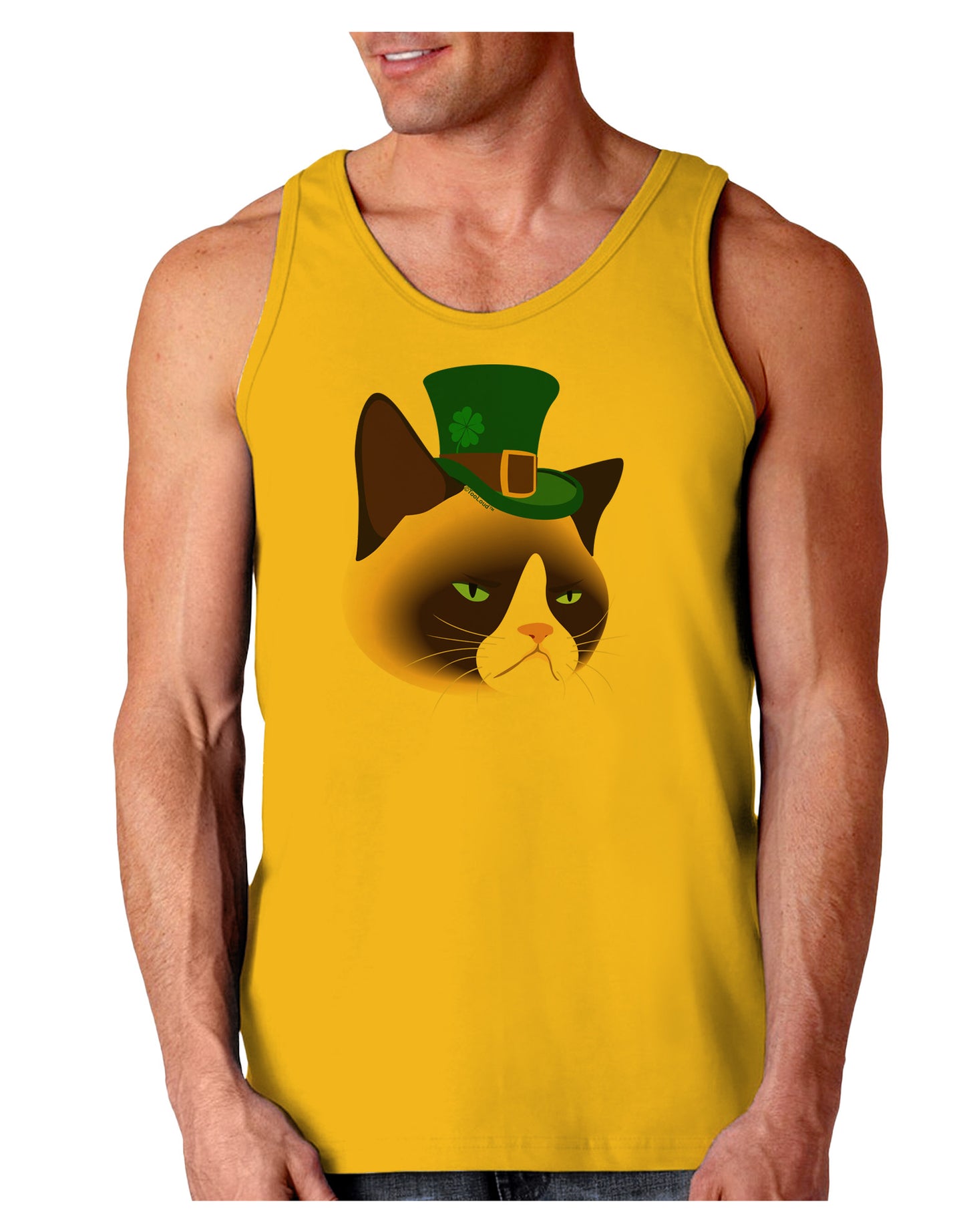 Leprechaun Disgruntled Cat Loose Tank Top-Loose Tank Top-TooLoud-Gold-Small-Davson Sales