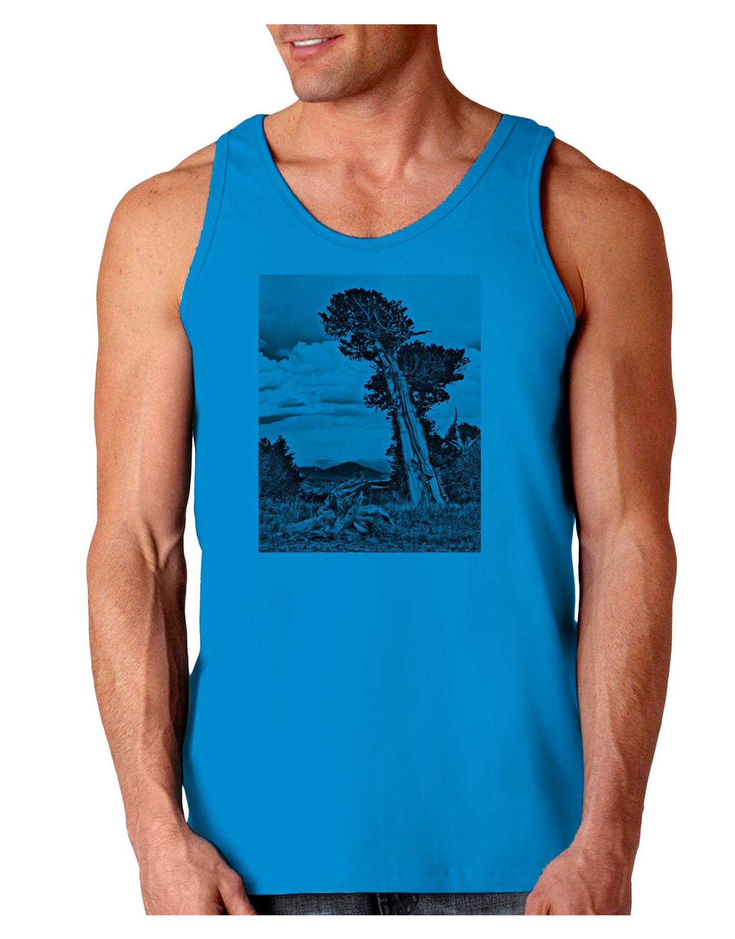 Colorado Landscape Monochrome Loose Tank Top-Loose Tank Top-TooLoud-Sapphire-Small-Davson Sales