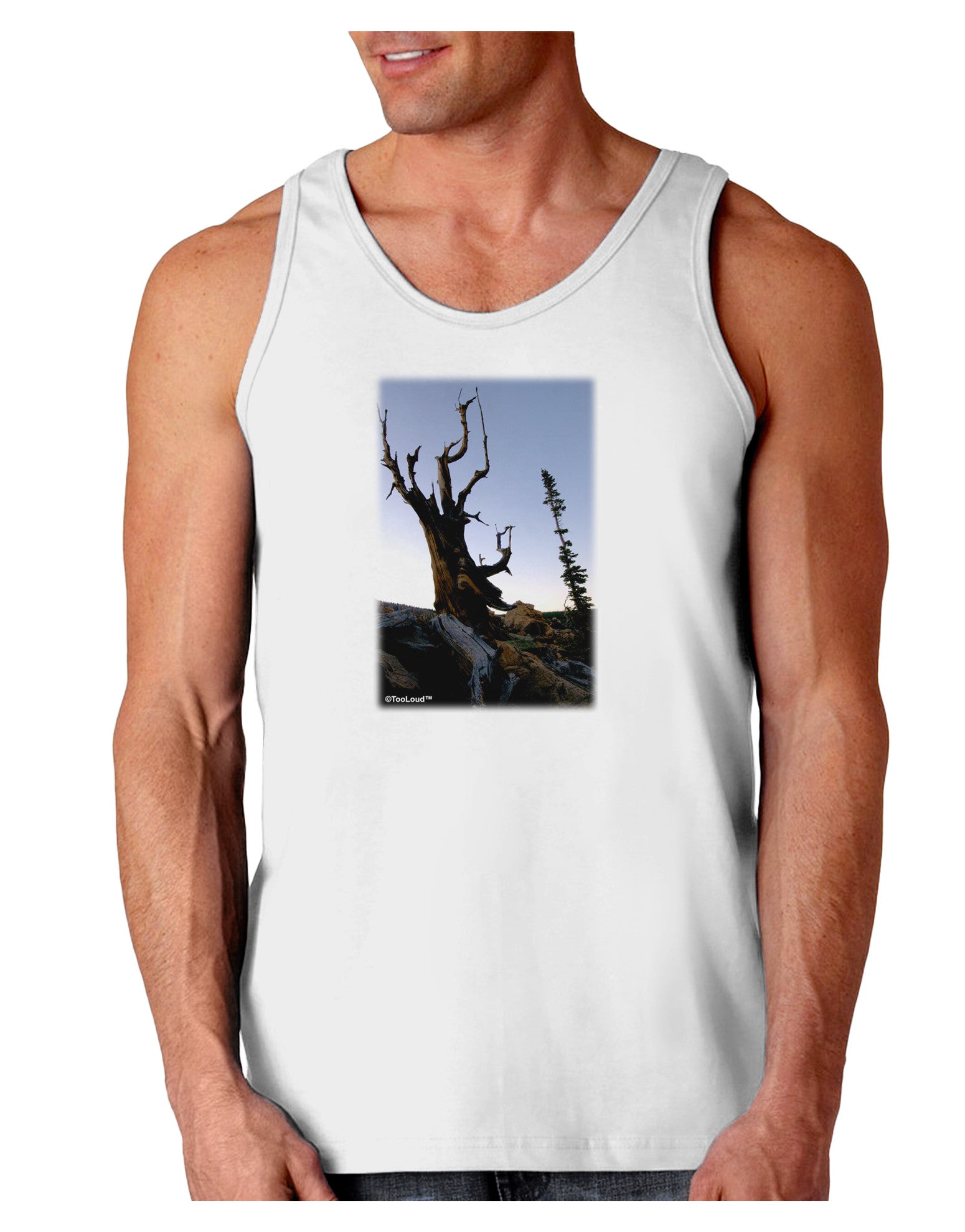 Colorado Mountain Scenery Loose Tank Top-Loose Tank Top-TooLoud-White-Small-Davson Sales