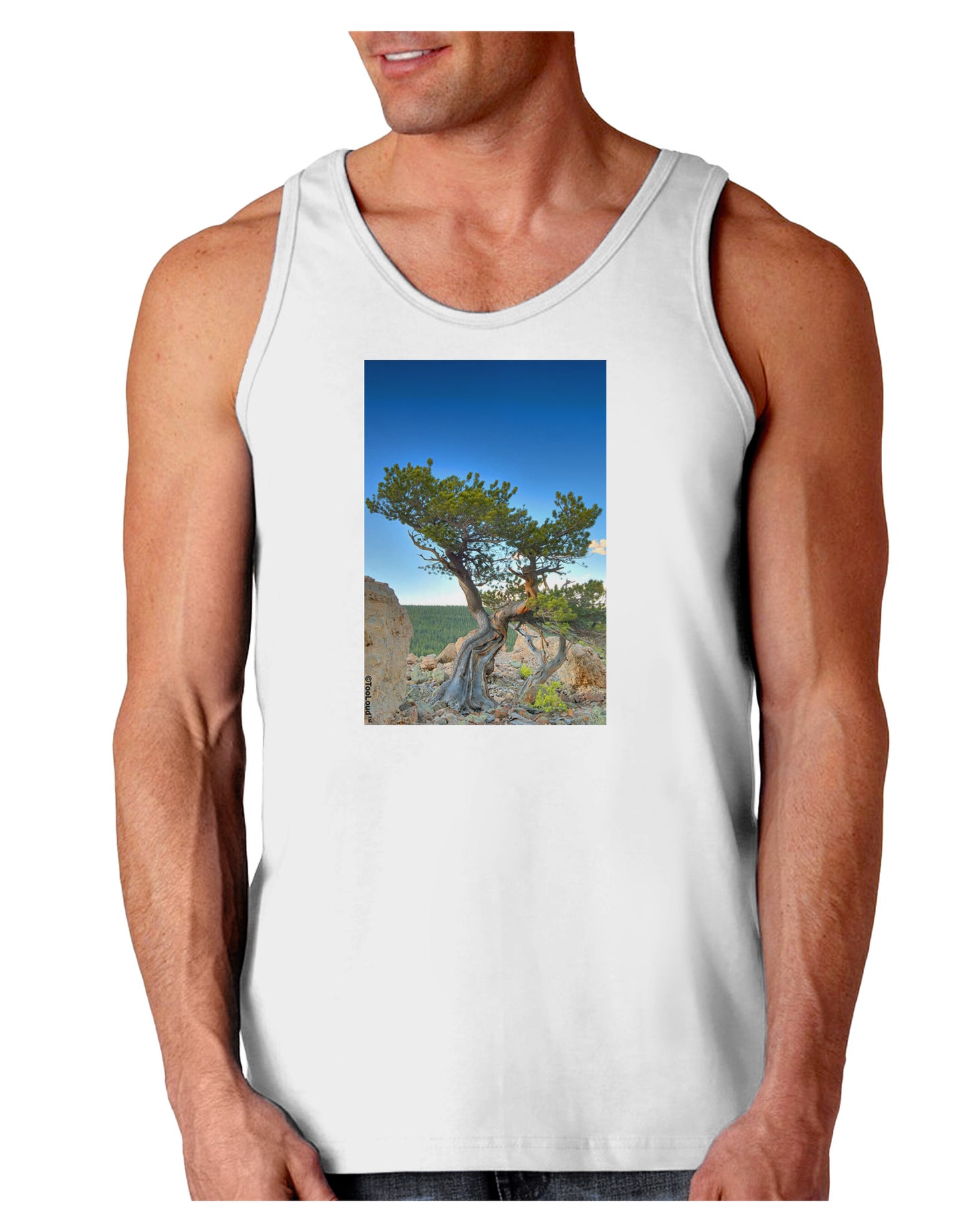 Colorado Landscape Tree Loose Tank Top-Loose Tank Top-TooLoud-White-Small-Davson Sales