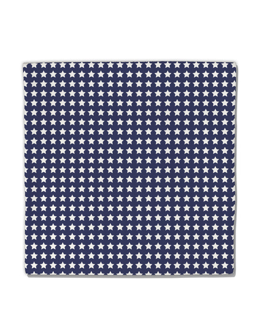 Americana Stars Pattern Micro Fleece 14&#x22;x14&#x22; Pillow Sham All Over Print-Pillow Sham-TooLoud-White-Davson Sales