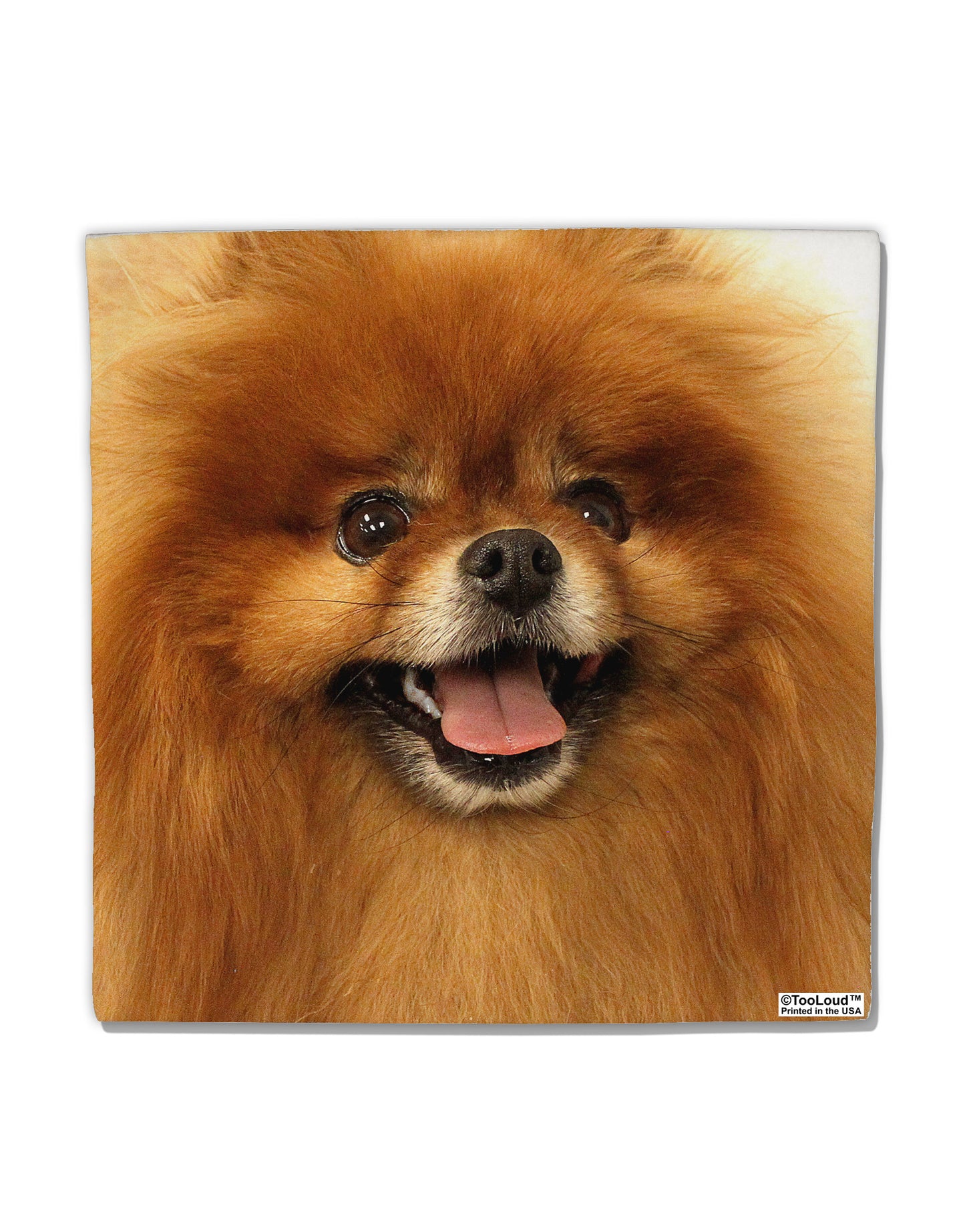 Adorable Red Pomeranian Micro Fleece 14&#x22;x14&#x22; Pillow Sham All Over Print-Pillow Sham-TooLoud-White-Davson Sales