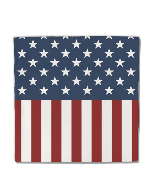 Stars and Stripes American Flag Micro Fleece 14"x14" Pillow Sham All Over Print-Pillow Sham-TooLoud-White-Davson Sales