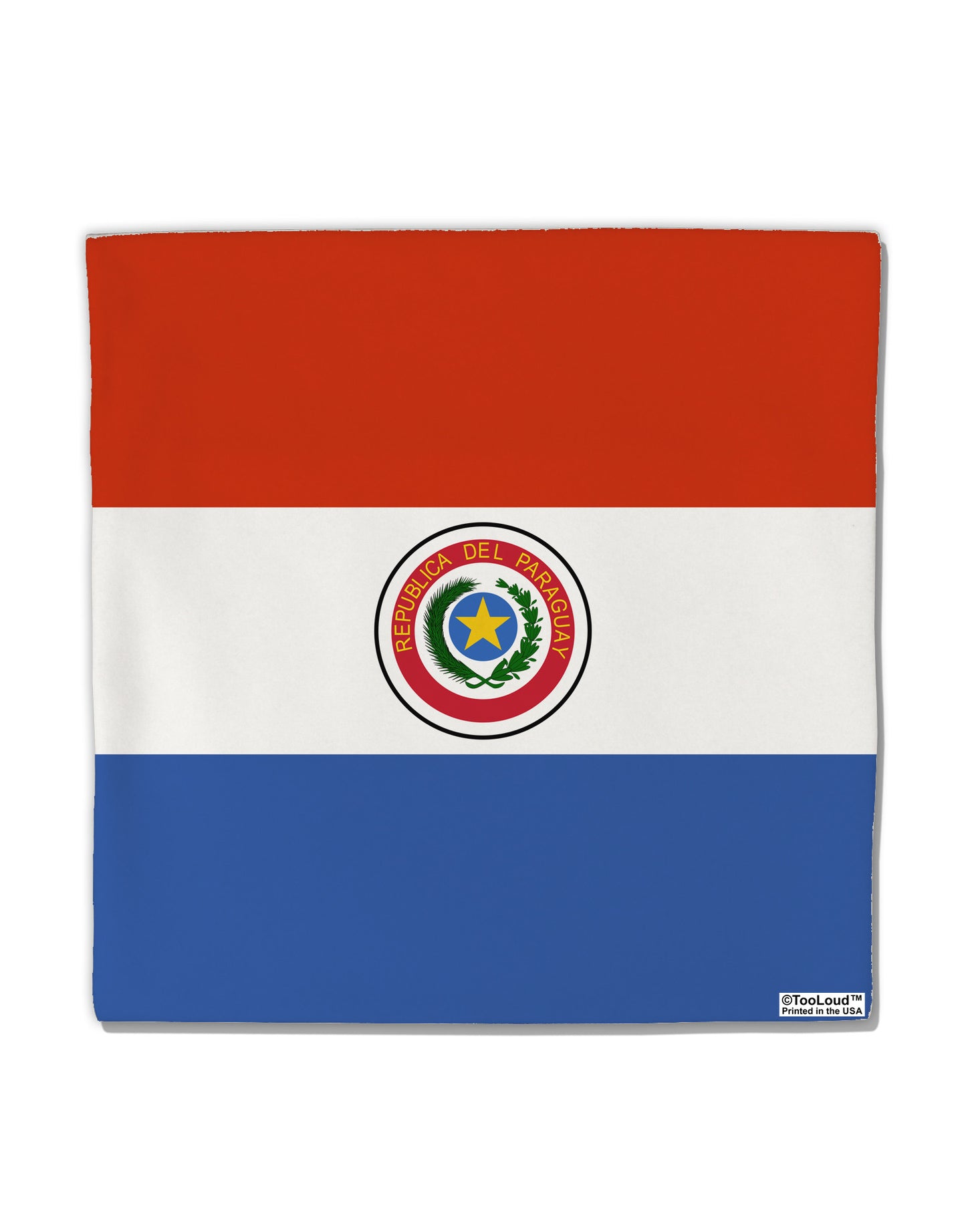 Paraguay Flag AOP Micro Fleece 14"x14" Pillow Sham All Over Print-Pillow Sham-TooLoud-White-Davson Sales