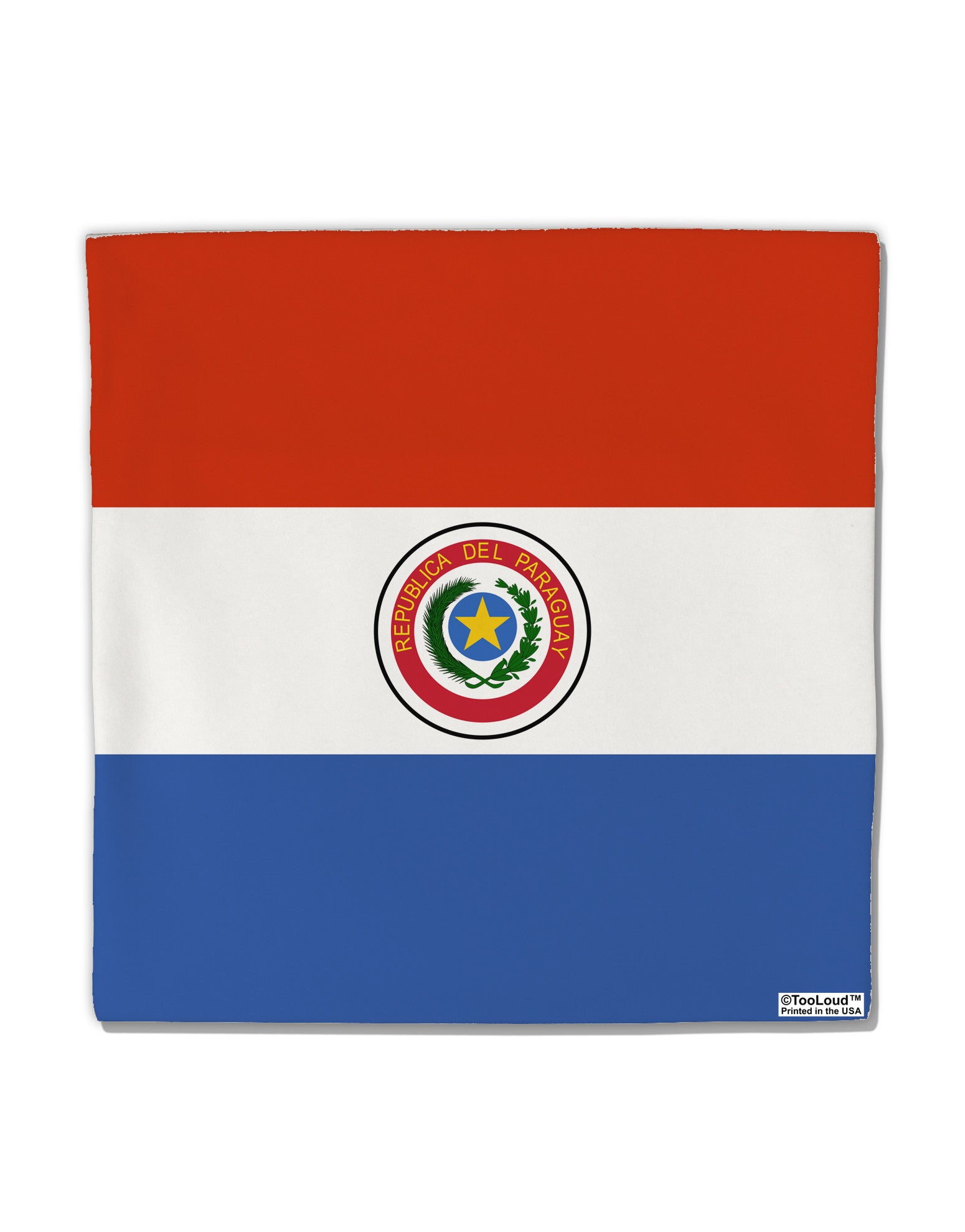 Paraguay Flag AOP Micro Fleece 14"x14" Pillow Sham All Over Print-Pillow Sham-TooLoud-White-Davson Sales