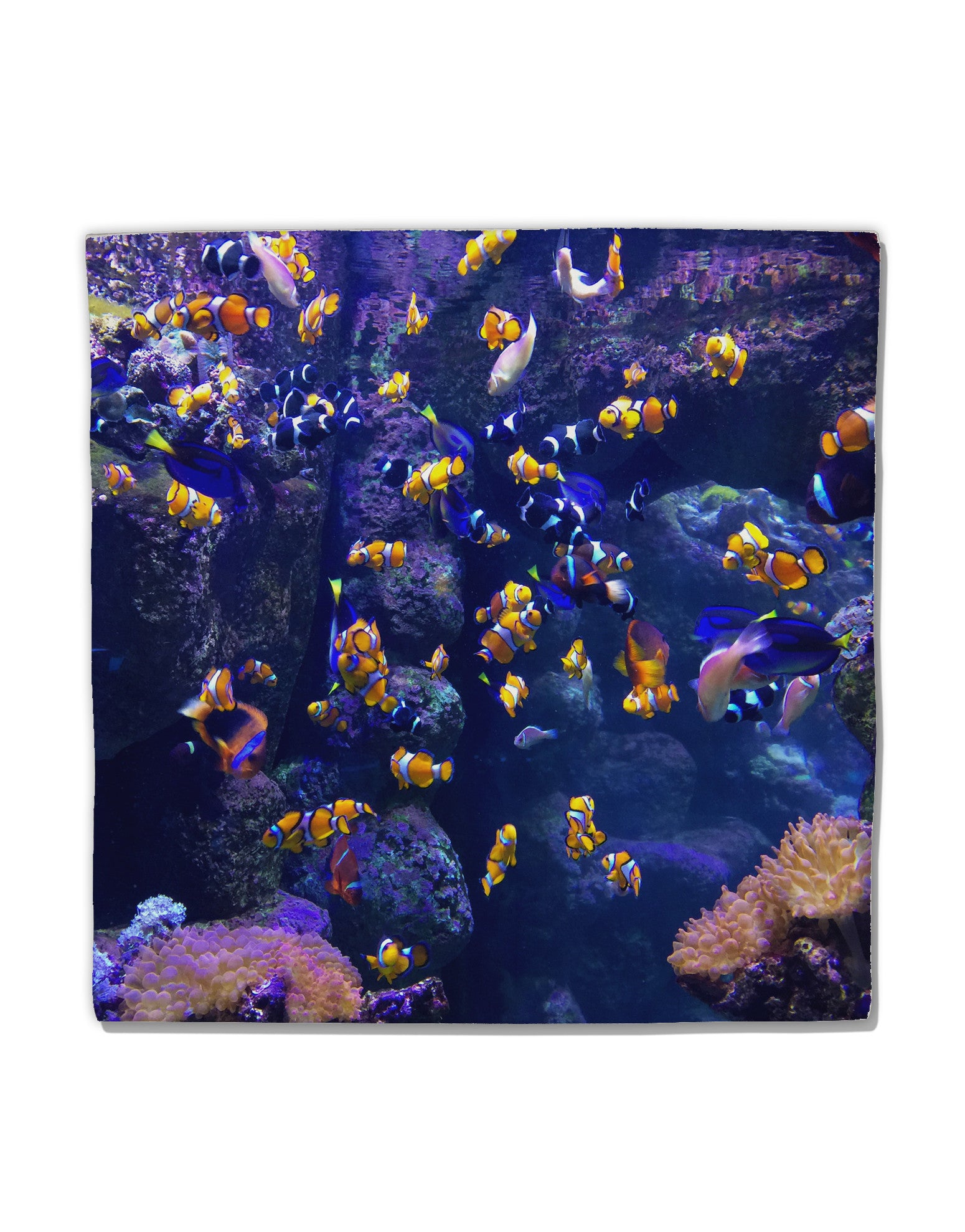 Underwater Ocean View Clownfish Micro Fleece 14"x14" Pillow Sham All Over Print-Pillow Sham-TooLoud-White-Davson Sales