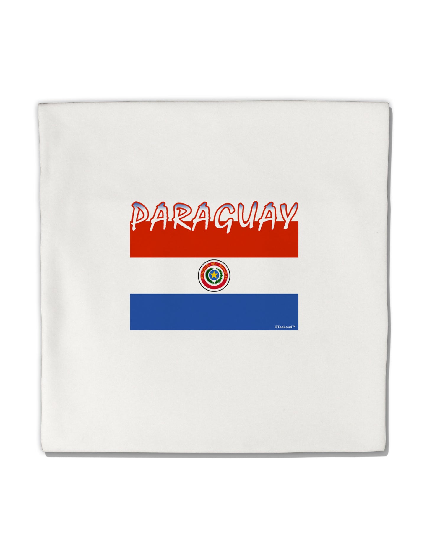 Paraguay Flag Micro Fleece 14"x14" Pillow Sham-Pillow Sham-TooLoud-White-Davson Sales