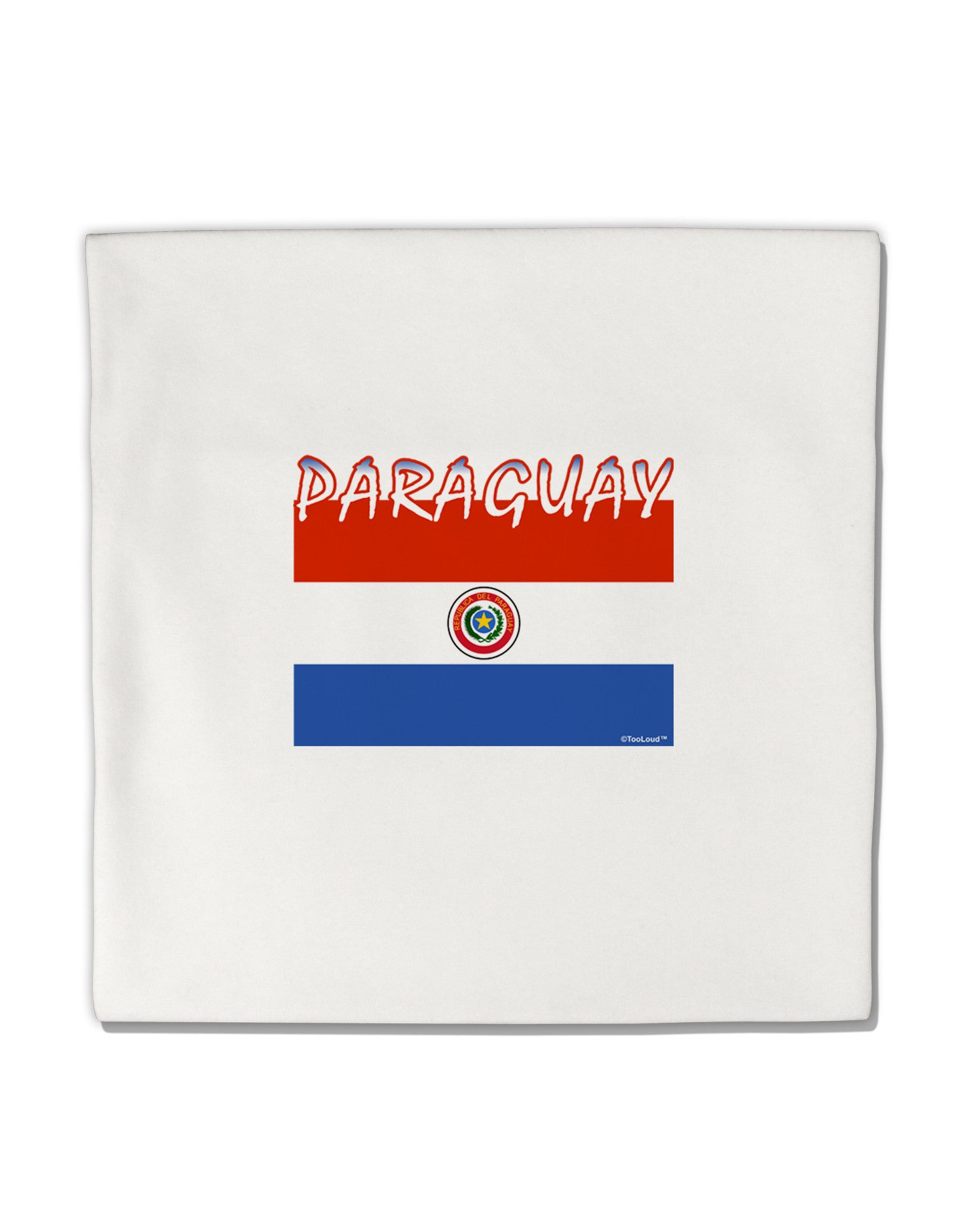 Paraguay Flag Micro Fleece 14"x14" Pillow Sham-Pillow Sham-TooLoud-White-Davson Sales