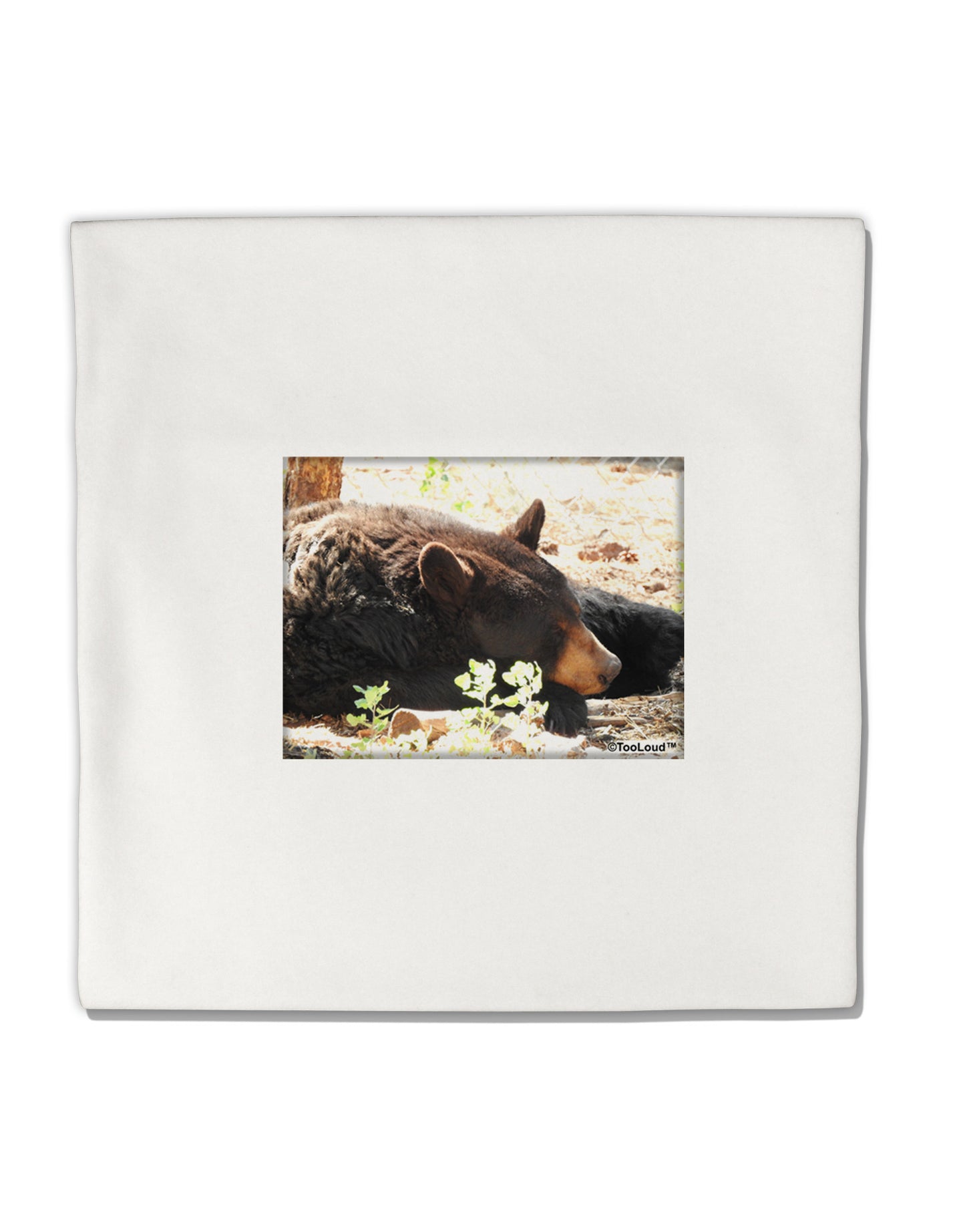 Laying Black Bear Micro Fleece 14"x14" Pillow Sham-Pillow Sham-TooLoud-White-Davson Sales