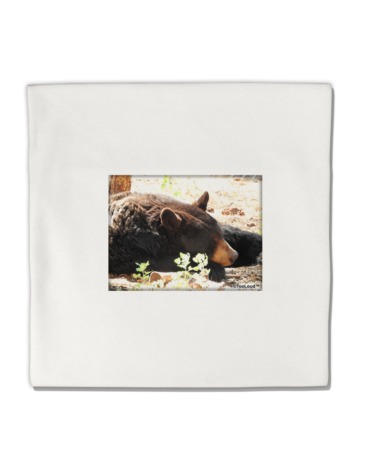 Laying Black Bear Micro Fleece 14"x14" Pillow Sham-Pillow Sham-TooLoud-White-Davson Sales