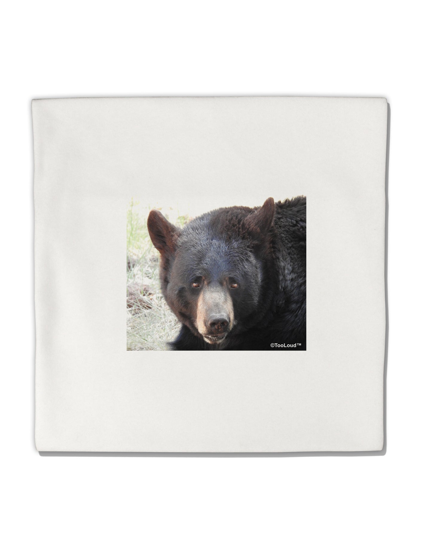 Staring Black Bear Micro Fleece 14"x14" Pillow Sham-Pillow Sham-TooLoud-White-Davson Sales
