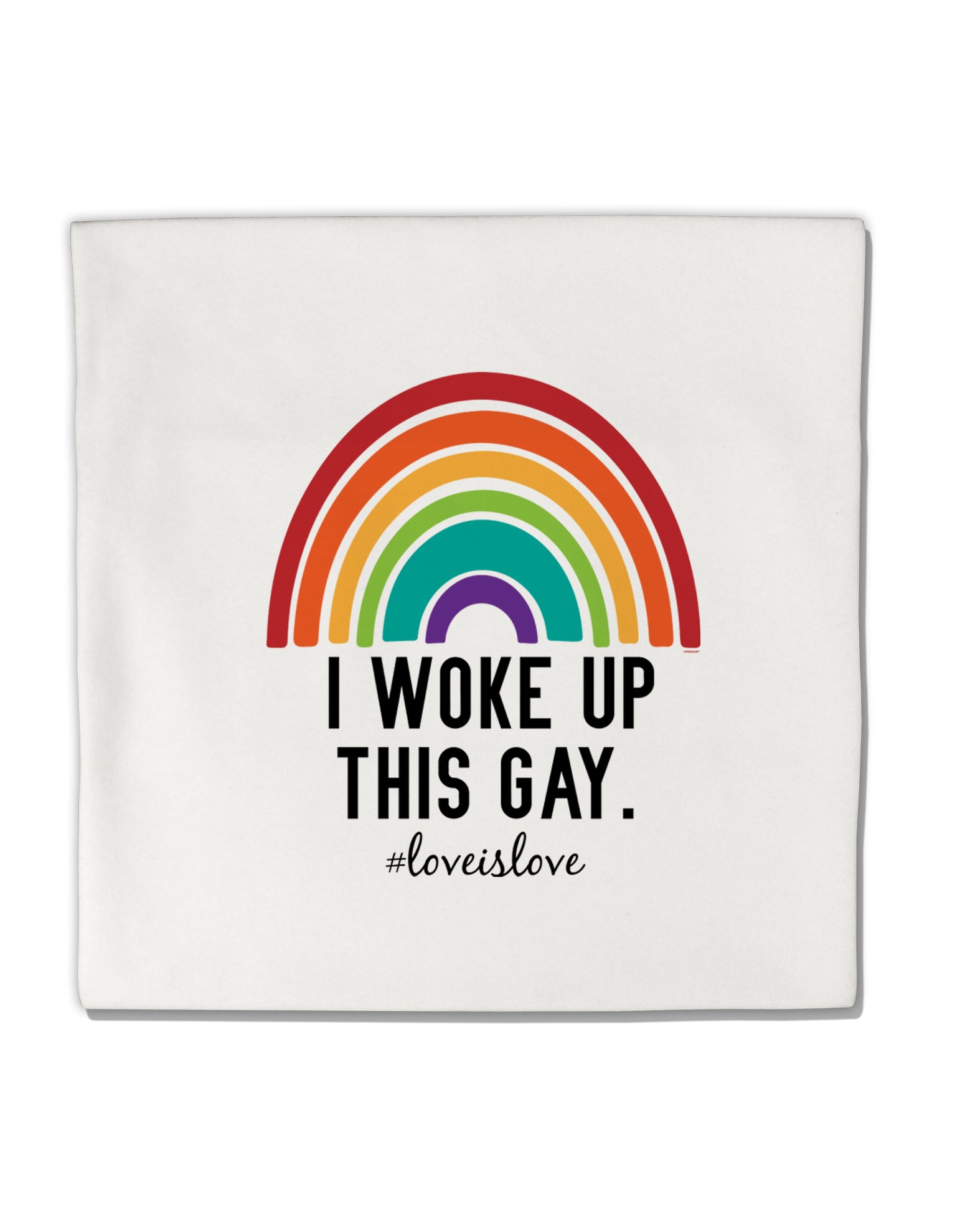 TooLoud I Woke Up This Gay Micro Fleece 14 Inch x 14 Inch Pillow Sham-ThrowPillowCovers-TooLoud-Davson Sales
