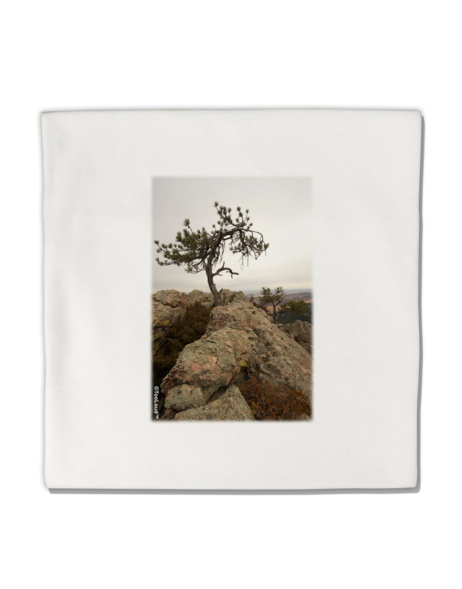 Stone Tree Colorado Micro Fleece 14&#x22;x14&#x22; Pillow Sham by TooLoud-Pillow Sham-TooLoud-White-Davson Sales
