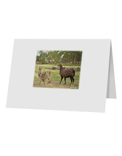Standing Llamas 10 Pack of 5x7&#x22; Top Fold Blank Greeting Cards by TooLoud-Greeting Cards-TooLoud-White-Davson Sales