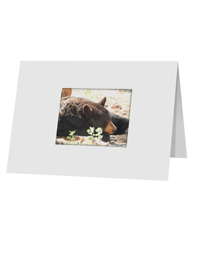 Laying Black Bear 10 Pack of 5x7&#x22; Top Fold Blank Greeting Cards-Greeting Cards-TooLoud-White-Davson Sales