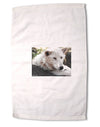 Laying White Wolf Premium Cotton Sport Towel 16 x 22 Inch-Sport Towel-TooLoud-16x25"-Davson Sales