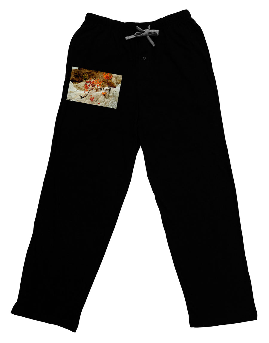 CO Painted Mines Adult Lounge Pants-Lounge Pants-TooLoud-Black-Small-Davson Sales