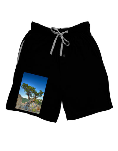 Colorado Landscape Tree Adult Lounge Shorts-Lounge Shorts-TooLoud-Black-Small-Davson Sales