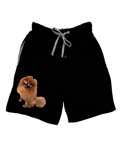 Pomeranian Sitting All Cute-Like Adult Lounge Shorts-Lounge Shorts-TooLoud-Black-Small-Davson Sales