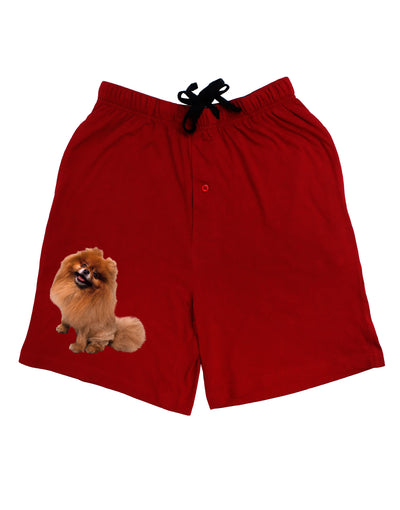 Pomeranian Sitting All Cute-Like Adult Lounge Shorts-Lounge Shorts-TooLoud-Red-Small-Davson Sales