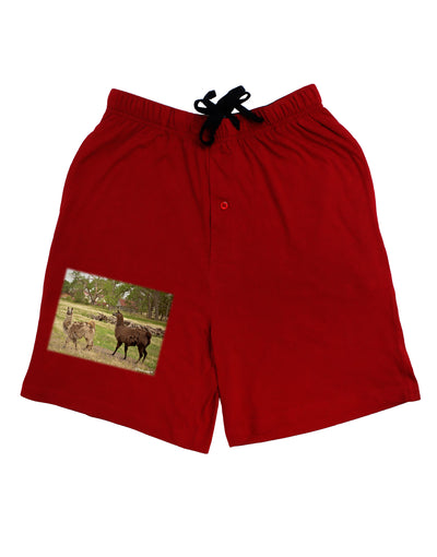 Standing Llamas Adult Lounge Shorts by TooLoud-Lounge Shorts-TooLoud-Red-Small-Davson Sales