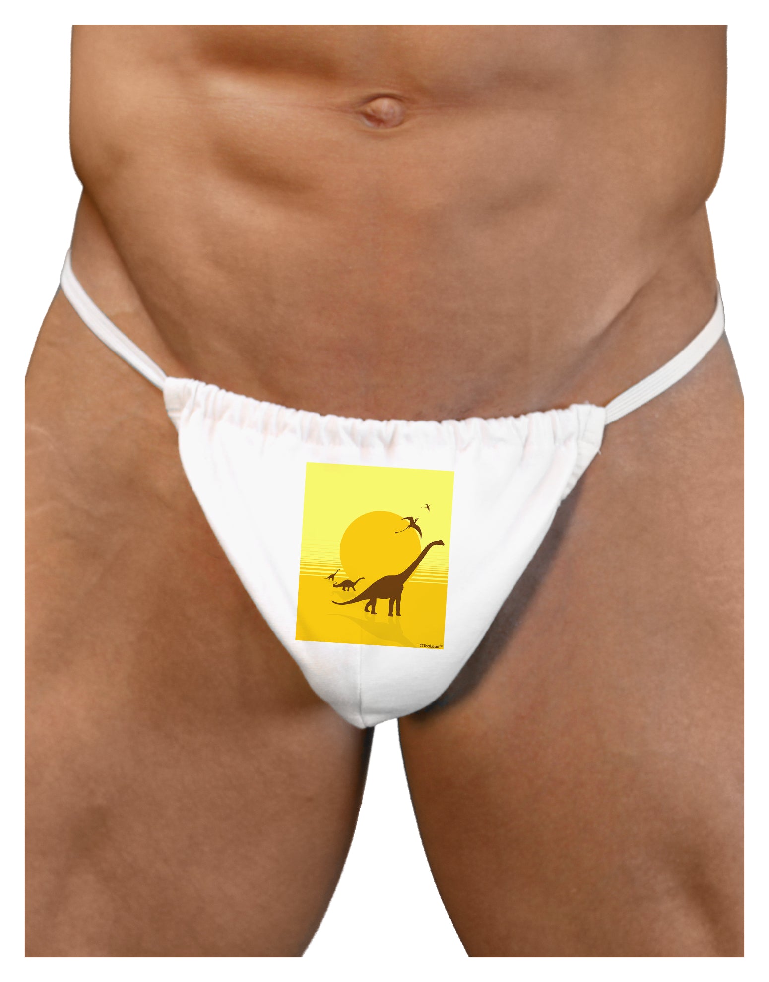 Brontosaurus and Pterodactyl Silhouettes with Sun Mens G-String Underw -  Davson Sales