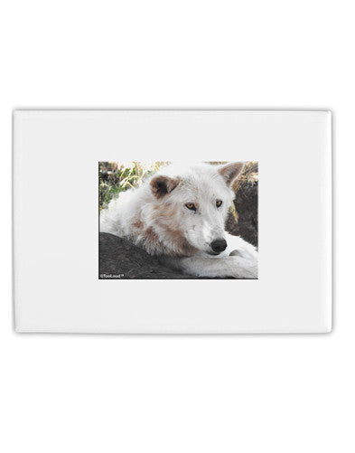 Laying White Wolf Fridge Magnet 2&#x22;x3&#x22; Landscape-Fridge Magnet-TooLoud-White-Davson Sales