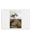 Stone Tree Colorado Fridge Magnet 2&#x22;x3&#x22; Landscape by TooLoud-Fridge Magnet-TooLoud-White-Davson Sales